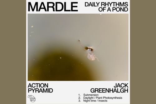 The album cover for Mardle, by Action Pyramid and University of Bristol acoustic ecologist Dr Jack Greenhalgh